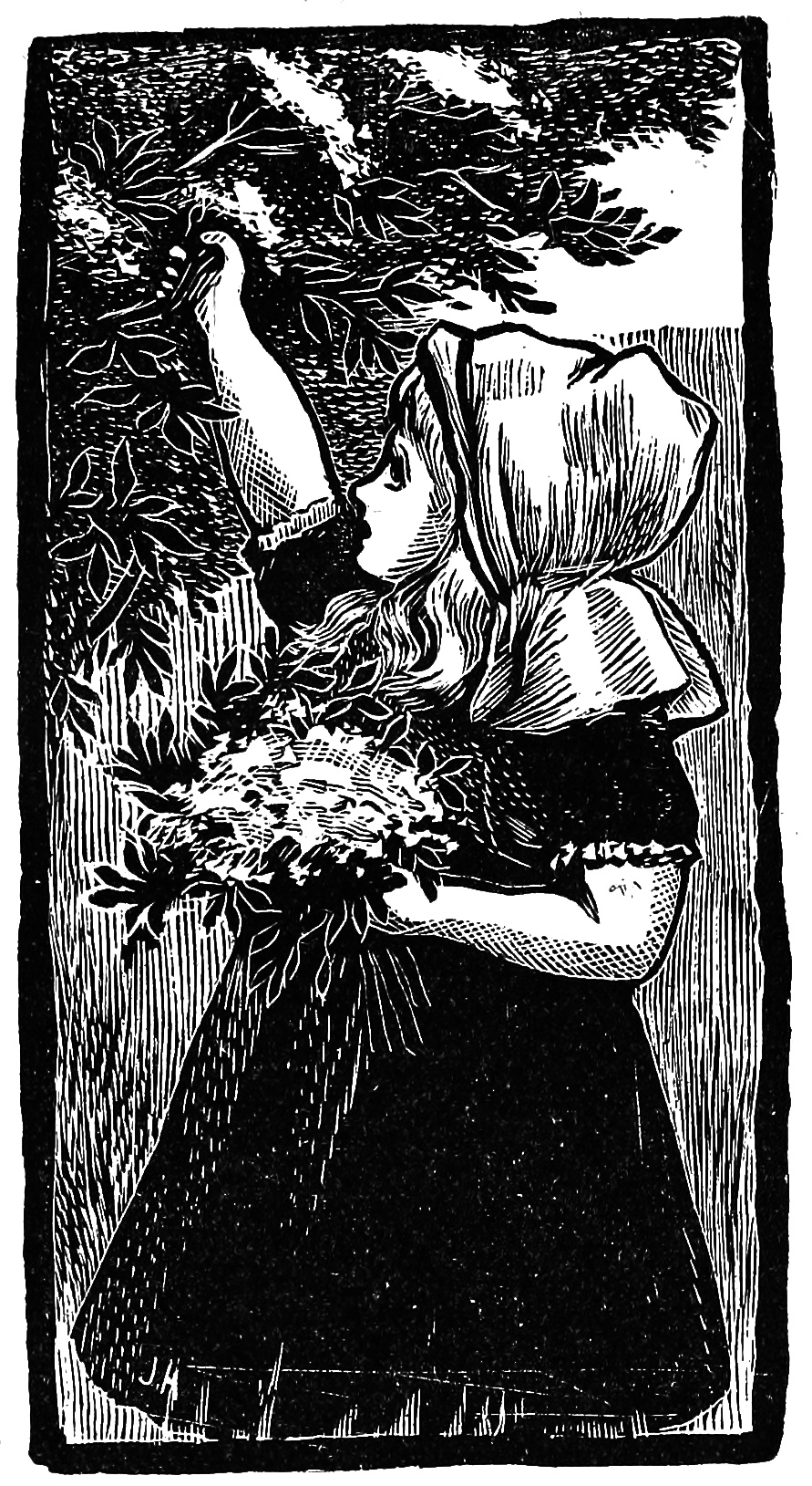 Vintage Illustration | Online Stars A vintage illustration shows a woman looking up at tree branches, useful when picking a creator name.